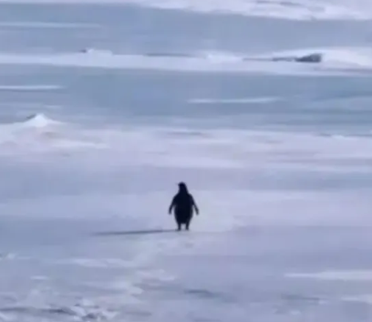 Success Illustration